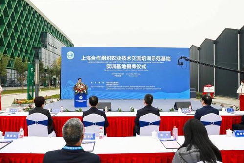 上合组织农业技术交流培训示范基地实训基地揭牌仪式在杨凌举行