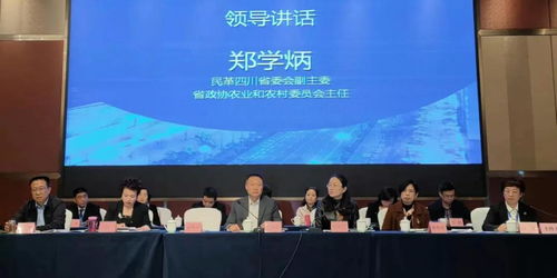 2020年民革组织建设年工作交流活动暨研讨会在内江举行